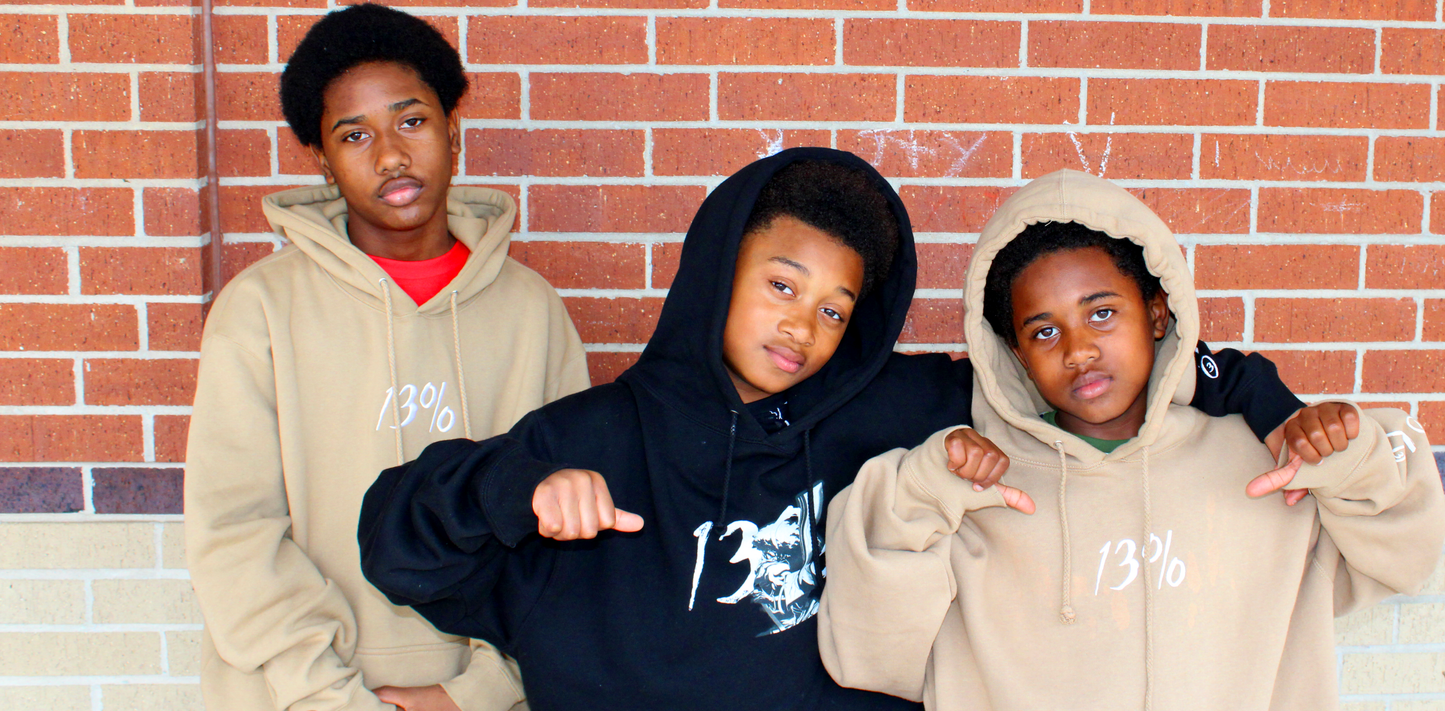 13% Hoody