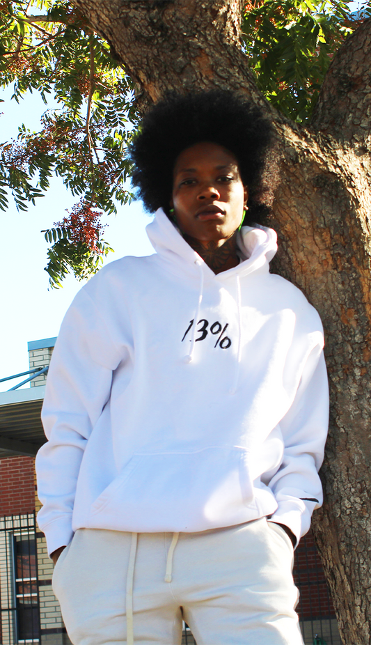 13% Hoody